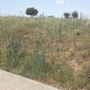Nivelar terreno en duruelo segovia