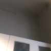 Pintar Interior Edificio