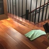 Otros Trabajos De Parquet