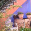 Ampliación de pequeña vivienda banyoles (girona)