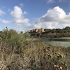 Proyecto nueva construcción