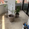 Pulir Suelo Vivienda (Parcial)