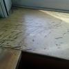Arreglar Humedades
