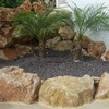 Poda arboles