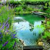 Construir Piscina Natural