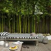 Tarima de madera para patio