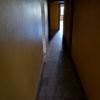 Pintar Interior De Vivienda