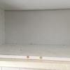 Limpieza Vivienda (1 vez)