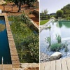 Mantenimiento Piscina Unifamiliar