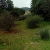 Desbrozar Jardín