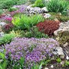 Hacer puesta a punto de jardín