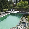 Construir Piscina Natural