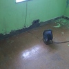 Pintar Interior De Vivienda