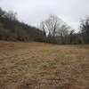 Plantación de césped natural