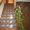 Pintar Exterior Vivienda
