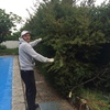 Construir Muro Bloque