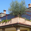 Instalar Carpintería Aluminio (Obra Nueva)