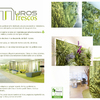 Artículos De Decoración