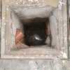 Excavar Zanjas