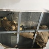 Hacer Trabajos Pladur en Vivienda