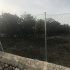Desbrozar Jardín