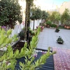 Mantener Jardín