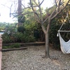 Hacer puesta a punto de jardín