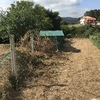 Hacer puesta a punto de jardín