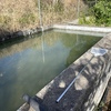 Revestir Piscina con Otros Materiales