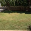 Mantener Jardín
