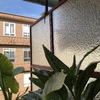 Cortinas Cristal