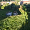 Instalar Cercados de malla o similar