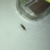Desinfección