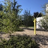 Mantener Jardín