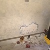 Quitar grafiti pared de casa y pintar