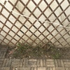 Puesta a punto del jardin