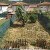 Desbrozar Jardín