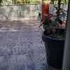 Reparar mosquitera (torres-torres)