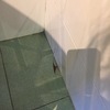 Remplazar baldosa rota en cocina