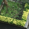 Otros Trabajos De Jardinería