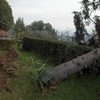 Remolque con tierra para jardín