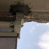 Reparar Toldo