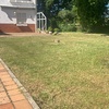 Mantener Jardín