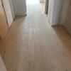 Limpieza Vivienda (1 vez)