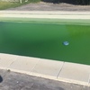 Limpieza puntual de piscina