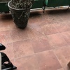 Pintar terrazas