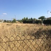 Desbrozar Jardín