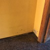 Reparar Carpintería Madera