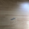 Cambio dos lamas de parquet sintético dañadas