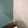 Impermeabilización Parcial Vivienda O Local